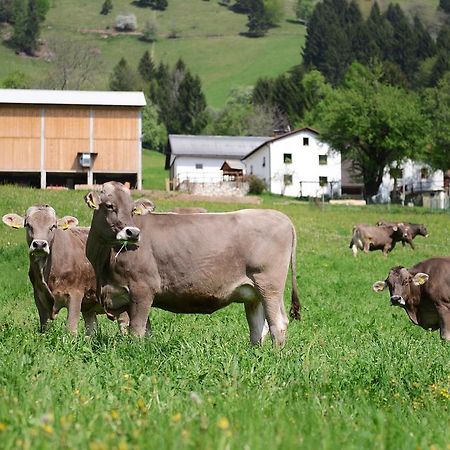 Ekoloska Turisticna Kmetija Pri Lovrcu Tolmin Extérieur photo