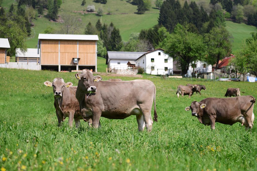 Ekoloska Turisticna Kmetija Pri Lovrcu Tolmin Extérieur photo
